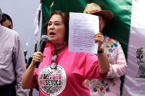 Marea Rosa Protest Against Legislative Overrepresentation Of Morena Party