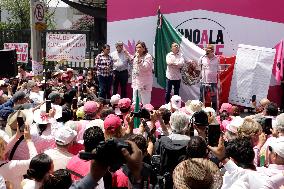 Marea Rosa Protest Against Legislative Overrepresentation Of Morena Party