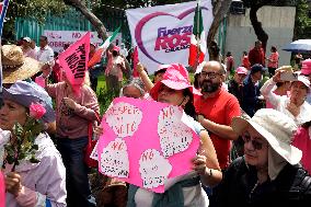 Marea Rosa Protest Against Legislative Overrepresentation Of Morena Party