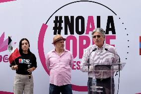 Marea Rosa Protest Against Legislative Overrepresentation Of Morena Party