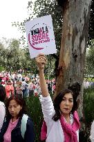 Marea Rosa Protest Against Legislative Overrepresentation Of Morena Party