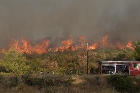 Wildfires In Athens, Greece