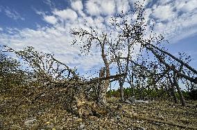 Hospital in Donetsk region destroyed by Russian troops