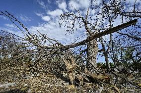 Hospital in Donetsk region destroyed by Russian troops