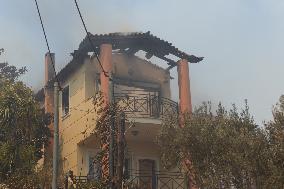 Wildfires In Athens, Greece