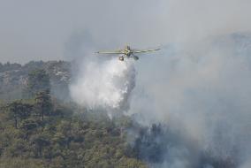 Wildfires In Athens, Greece