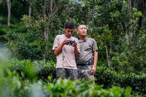 Tracking A Herd Of Elephants With A Drone - China