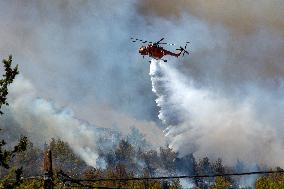 Thousands Evacuated As Wildfires Approach Athens