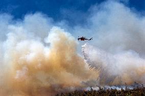 Thousands Evacuated As Wildfires Approach Athens