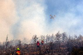 Thousands Evacuated As Wildfires Approach Athens