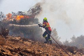 Thousands Evacuated As Wildfires Approach Athens