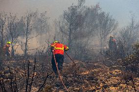 Thousands Evacuated As Wildfires Approach Athens