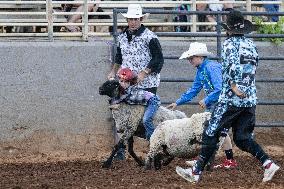 Mutton Busting Contest At The Nevada County Fair In Grass Valley Calif