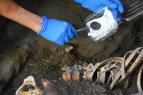 Pompeii Archaeologists Find Bodies Of Man And Woman And Their Treasure