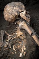 Pompeii Archaeologists Find Bodies Of Man And Woman And Their Treasure