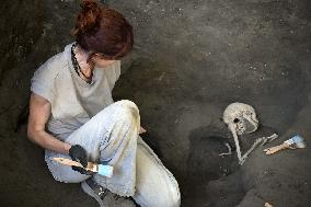 Pompeii Archaeologists Find Bodies Of Man And Woman And Their Treasure