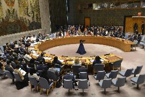 U.N. Security Council meeting over permanent status