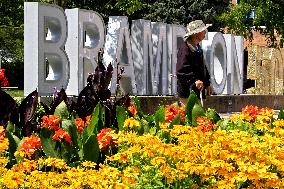 Daily Life In Downtown Brampton, Ontario, Canada