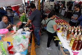 Festival Of Indigenous Cultures, Peoples And Native Neighborhoods Of Mexico City 2024