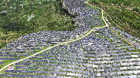 A Photovoltaic Power Station on A Barren Mountain in Zaozhuang