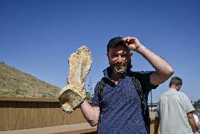 Mammoth bones found on River Dnipro bank displayed in Zaporizhzhia