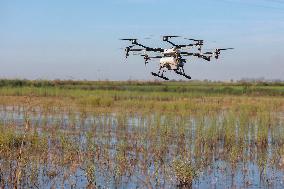 Drone Deployed To Fight Mosquitoes And West Nile Virus - Spain