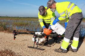 Drone Deployed To Fight Mosquitoes And West Nile Virus - Spain