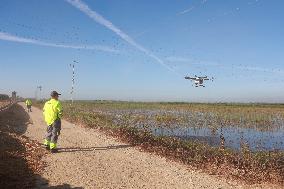 Drone Deployed To Fight Mosquitoes And West Nile Virus - Spain