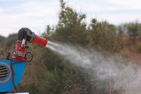 Drone Deployed To Fight Mosquitoes And West Nile Virus - Spain