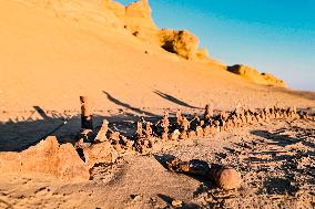 Whale Fossil In The Desert Of Fayoum - Egypt