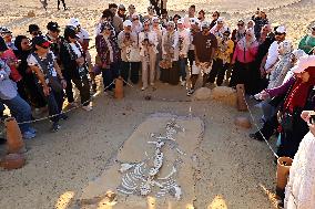 Whale Fossil In The Desert Of Fayoum - Egypt