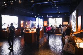 The Immersive Exhibition Titanic An Immersive Voyage With Over 300 Finds And Reconstructions Of Rooms In Milan