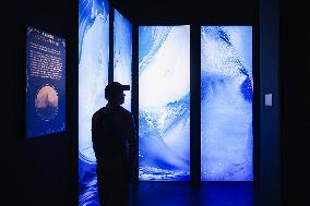 The Immersive Exhibition Titanic An Immersive Voyage With Over 300 Finds And Reconstructions Of Rooms In Milan