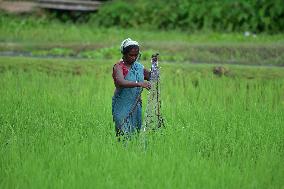 Daily Life In India