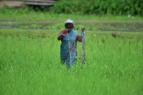 Daily Life In India