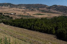 Occhito Dam Closes In Foggia