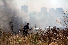 Dry Grass And Brush Fire In Sofia.