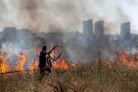 Dry Grass And Brush Fire In Sofia.