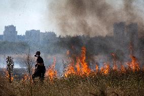 Dry Grass And Brush Fire In Sofia.