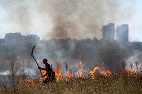 Dry Grass And Brush Fire In Sofia.