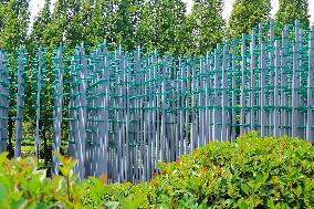 Beer Tree in Qingdao