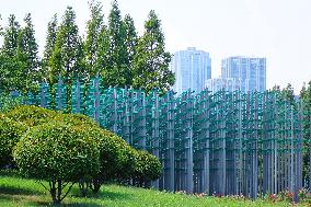 Beer Tree in Qingdao