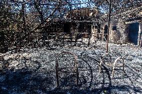 Fires Near Athens Leave A Path Of Destruction - Greece