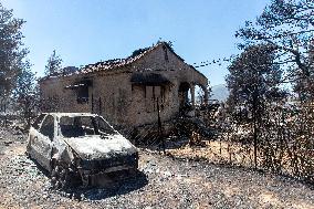 Fires Near Athens Leave A Path Of Destruction - Greece