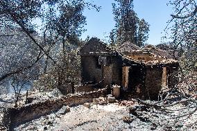 Fires Near Athens Leave A Path Of Destruction - Greece