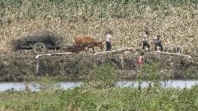 Aftermath of heavy rain in N. Korea