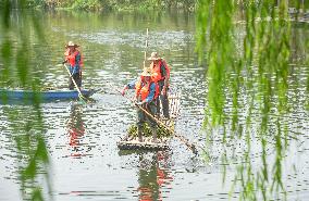 National Ecology Day