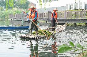 National Ecology Day