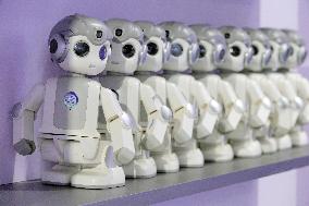 Humanoid Robot Market