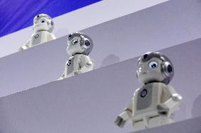 Humanoid Robot Market